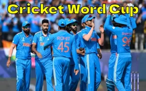 cricket world cup